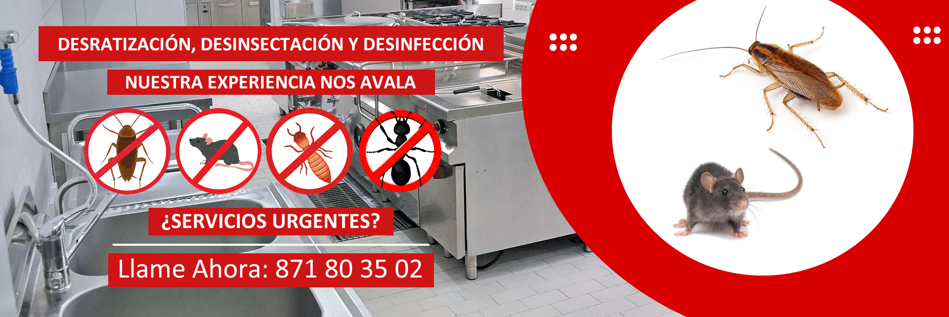 controldeplagas