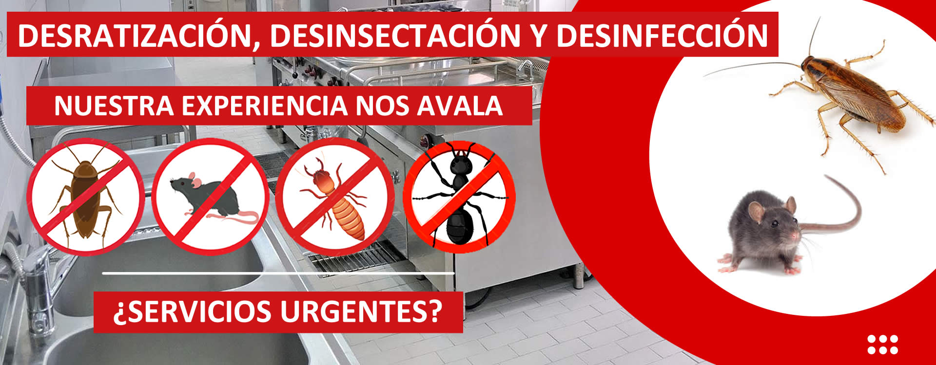 controldeplagas control de plagas