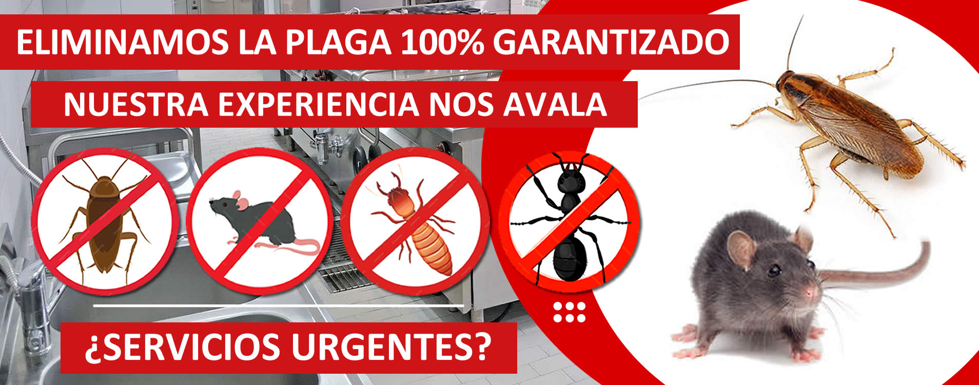 controldeplagas control de plagas